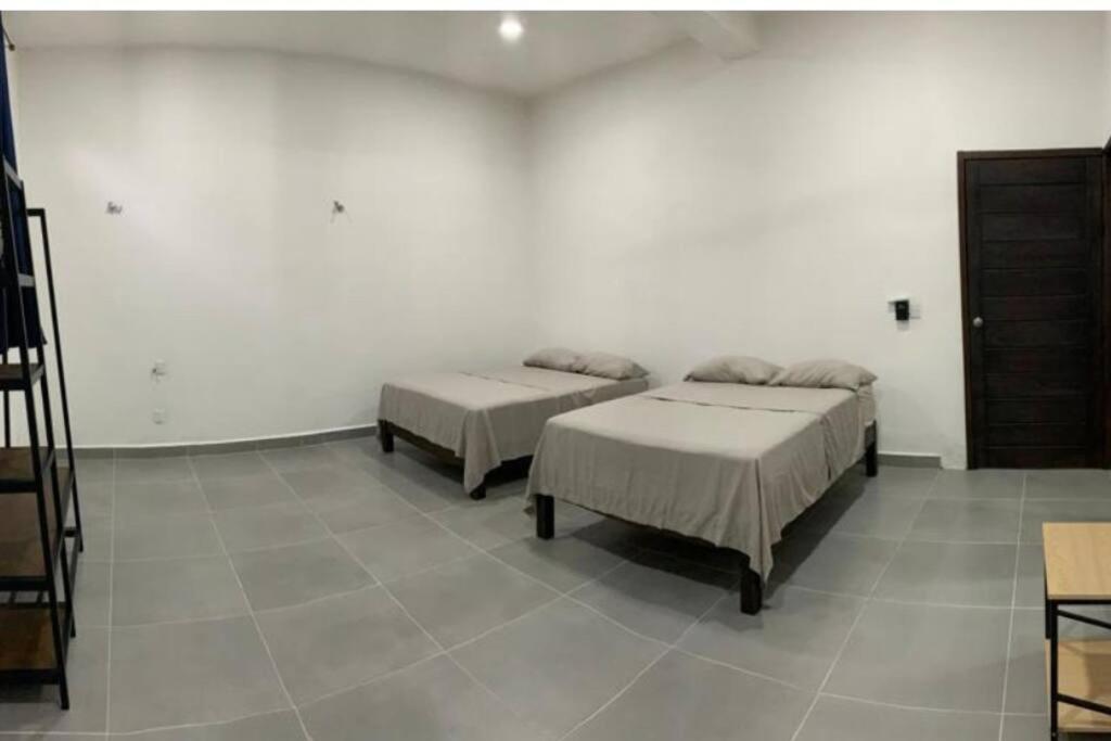Casa Honey 4 Bedroom Oasis With Pool! Bacalar Bagian luar foto